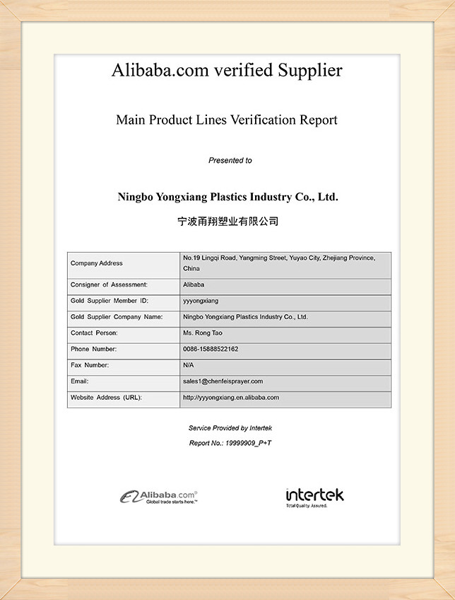 Main-Product-Report---19999909_P+T-1